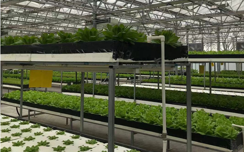 彩运网(中国游) - 官方网站